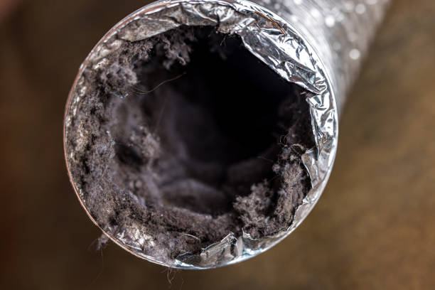 Best Local Air Duct Cleaning Services  in Oracle, AZ